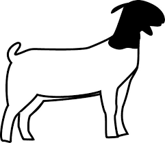 Baby Goat Clipart Black And White 4 H Youth Development Grady County Extension Office Boer Goats Show Goats Showing Livestock