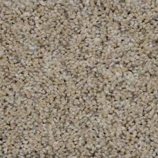 Search Results Carpet Samples Home Decorators Collection Rugs On Carpet