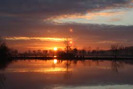 Etang Des Colverts Charente Maritime Cire D Aunis