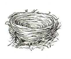 Click any coloring page to see a larger version and download it. Digital Two For Tuesday Digital Two For Tuesday 14 Bird Nest Painting Birds Nest Image Bird Nest