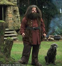 Fang Is A Bullmastiff That Belongs To Hagrid In The Harry Potter Novels And Movies The Huge Harry Potter Movies Harry Potter Cosplay Harry Potter Characters