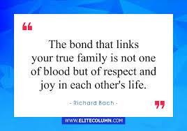Sourced quotations by the american novelist richard bach (born in 1936) about life, learn and true. 50 Family Quotes That Will Change Your Life 2021 Elitecolumn