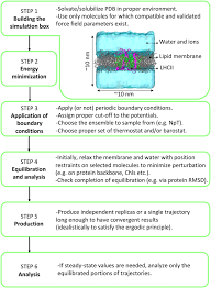 Check spelling or type a new query. Molecular Dynamics Simulations In Photosynthesis Springerlink