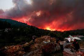 Incendios Autarca De Monchique Atribui Prolongamento Do Fogo A Ma Gestao Florestal Atualidade Sapo 24