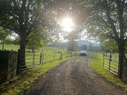 Simes decries FBI raid of his Rappahannock County home | Crime & Courts |  rappnews.com