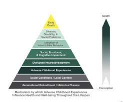 The movement considers many of the same issues that conventional civil rights and ethnic studies discourses take up but places them in. Racism Is An Adverse Childhood Experience Ace The Jordan Institute For Families