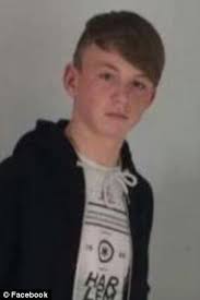 Two teenage boys, both 15, drown in quarry lake