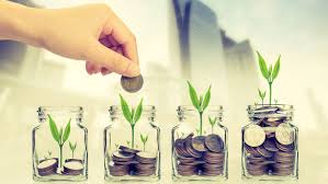 Image result for social pension