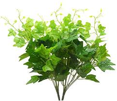 We did not find results for: Bird Fiy Silk English Ivy Leaves Fake Bouquet Simulation Greenery Bushes Indoor Outside Home Garden Office Verandah Wedding Decor 2pcs Buy Online In Cayman Islands At Cayman Desertcart Com Productid 49552711