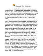 We did not find results for: Parts Of Flower Worksheets Reviewed By Teachers