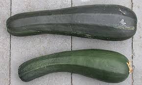 The same idea could apply to unseasonably late frosts. Summer Squash From A To Zucchini Best Ones To Grow Epic Gardening