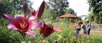 This is a page with some basic contact information, such as an address and phone number. Ausflugstipp Furs Wochenende Bluhende Garten In Berlin Und Brandenburg Offnen Fur Besucher