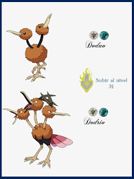 Best 53 Doduo Wallpaper On Hipwallpaper Doduo Wallpaper