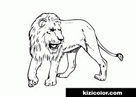 This collection includes mandalas, florals, and more. Lion Real Animals For Kids Color It Online Free Printable Coloring Pages For Kids