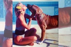 Xuxa comove ao postar fotos de seu falecido cão: “Companheiro de vida” |  Metrópoles