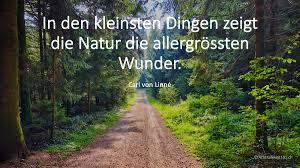 Achtsamkeit Sprüche Und Zitate Achtsamtkeit101ch