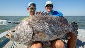 Check spelling or type a new query. First Fishing Trip With My Kids Youtube