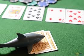 Becoming the shark of the field is the most difficult but in the long term the most profitable way you have to be willing to play the long game if you want to ever profit from poker. The Easy 4 Part Bottom Line Rules Of Texas Hold Em 2021