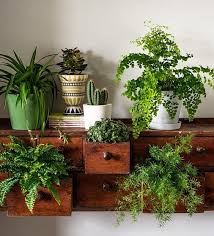 Maybe you would like to learn more about one of these? Ideas Para Decorar Con Plantas Y Darle Un Toque Verde A Tu Casa Decoracion Online Para Casas Con Estilo