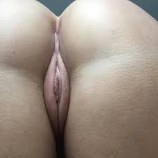 FitnessVivi - Escortily