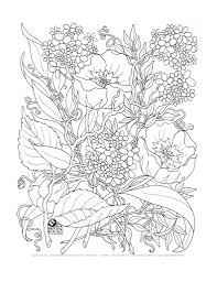 Amazingly exquisite free printable coloring pages of flowers. Free Printable Coloring Pages Adults Only Coloring Home