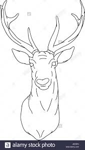 Coole bilder zum zeichnen mit gesichtern. Abbildung Farbe Zeichnen Hirsch Cartoon Farbe Schon Beauteously Schone Kunst Stockfotografie Alamy