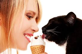Aflatoxin is produced from a mold that grows on pecans known as. Human Foods For Cats What Cats Can Can T Eat Catster