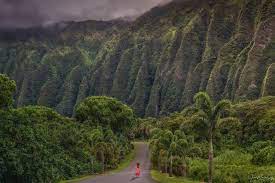 A Day At Jurassic Park Hoʻomaluhia Botanical Garden Oahu Hawaii Usa In 2021 Landscape Botanical Gardens Jurassic Park