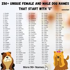 Baby names beginning with c. Dog Names That Start With C For Girl And Boy Dog
