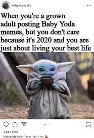 Baby Yoda Living His Best Life Yoda Meme Yoda Yoda Images