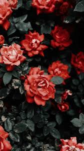 A collection of the top 54 aesthetic floral wallpapers and backgrounds available for download for free. Wallpaper Tumblr Hd Flower