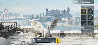 Charting companion for my heritage family publisher genelines genelines for legacy legacy charting companion map my family tree paf companion . How To Unlock The Falcon Companion In Pubg Mobile For Free