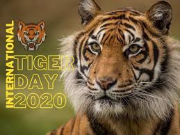 International Tiger Day 2020 photos: Rarely known facts about these striped  beasts that will intrigue you | Trending & Viral News