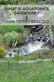 Indoor and backyard aquaponics combines the craft of hydroponic growing with aquaculture, the art of keeping fish. Aquaponic Gardening Create A Self Sustaining Garden Life With Lorelai