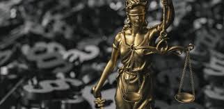 Image result for Justicia nyassana