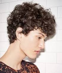 Image result for grey naturally curly pixie hair older women