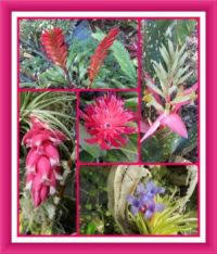 Free online jigsaw puzzles with thousands of beautiful pictures and puzzle cuts. Tl2uuxjipj Xem