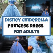No matter your occasion, in a dress form cinderella divine you'll feel flawless and confident. The Best Disney Cinderella Dress For Adults And Women