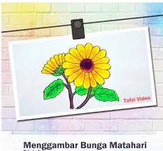 Berbagai artikel seputar gambar bunga sepatu dengan crayon dan bunga hias lain nya. Menakjubkan 17 Gambar Bunga Matahari Sketsa Warna Sugriwa Gambar
