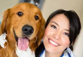 Chondrosarcoma of the ribs prognosis: How Long Can A Dog Live With Mammary Cancer Pranapets Com Prana Pets