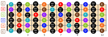 Chord diagrams have six vertical lines that represent the strings of the guitar and a few horizontal lines that represent the frets. Guitar Fretboard Diagram 12 24 Fret Charts