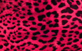 High resolution leopard print background. Leopard Pattern Wallpapers Top Free Leopard Pattern Backgrounds Wallpaperaccess