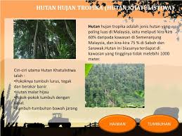 Di hutan ini terdapat beraneka jenis tumbuhan yang dapat hidup karena mendapat sinar matahari dan curah hujan yang cukup. Ppt Geografi Tingkatan 1 Powerpoint Presentation Free Download Id 6961144