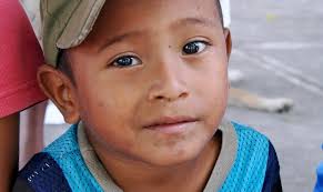 Adobe Illustrator Portfolios