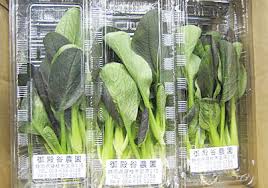 中国野菜一覧 業務用野菜のことなら愛知県名古屋市の八百宣