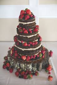 A Vintage Intimate Wedding At Landmark Inn In Marquette Michigan Fruit Wedding Cake Wedding Cake Nature Chocolate Wedding Cake