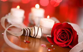 Bunga ini mempunyai lebih dari 100 jenis atau spesies berbeda yang dapat kita temukan diseluruh penjuru dunia. Halaman Download Rose Love Hd Wallpaper Bunga Mawar Merah Wallpaper Hd Wallpa