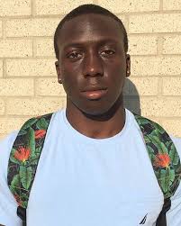 Tyree Gillespie, Tennessee, Safety