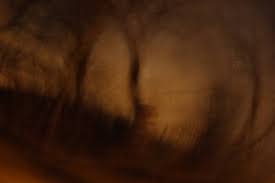 Maybe you would like to learn more about one of these? Featured 15 Lenka Zuzanakova Creative Photography