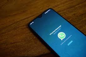 Los más entretenidos y absurdos. Cuestionarios Encuestas Preguntas Trivias Y Quiz Para Whatsapp Ejemplos Descubre Como Hacerlo
